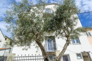 a tree in front of a white building at Apartments in city center Ventus in Novalja