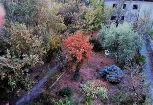 Zahrada ubytování Il Giardino dei Merli