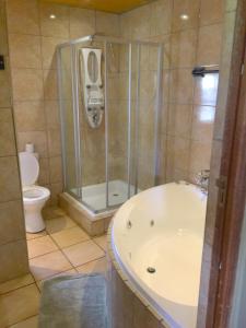 a bathroom with a shower and a sink and a toilet at Pepe Piatto Lodge in Grootvlei