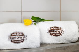 Fotografie z fotogalerie ubytování Ośrodek Wypoczynkowy Borowy v destinaci Biały Dunajec