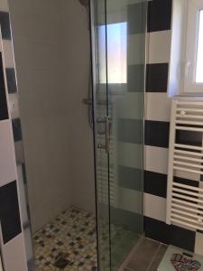 a shower with a glass door in a bathroom at La maison des canards in Romorantin