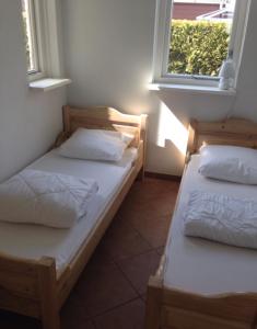 duas camas num quarto com duas janelas em Huisje Britt park de Horn em Dirkshorn