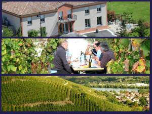 Fotografie z fotogalerie ubytování Hôtel Le Domaine des Vignes Ampuis Lyon Sud Vienne v destinaci Ampuis