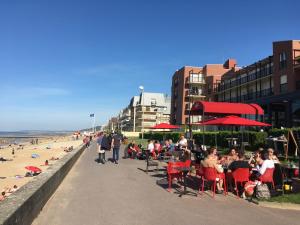 En strand ved eller i nærheten av leiligheten