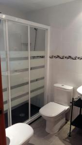 ベナルマデナにあるApartamento Diego Benalmadenaの白いバスルーム(トイレ、シャワー付)