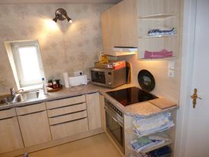 eine kleine Küche mit einer Spüle und einer Mikrowelle in der Unterkunft Albrecht guest apartement in Kembs