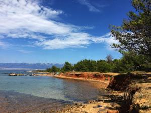 a beach with trees and water and a blue sky at Apartment Azriel in Vir