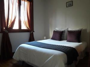カルカソンヌにあるGîte avec vue imprenable sur la Citéのベッドルーム1室(紫色の枕が付くベッド1台、窓付)
