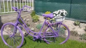 Una bicicleta púrpura con una cesta llena de flores en Levendula Ház, en Lipót