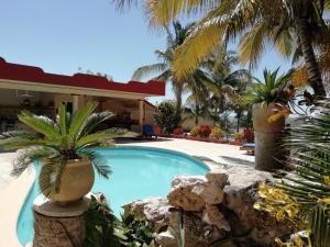 a swimming pool in a resort with palm trees at Castillito Kin Nah in Celest&uacute;n