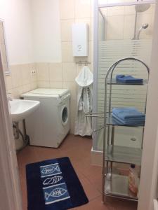 La salle de bains est pourvue d'un lave-linge et d'un lavabo. dans l'établissement Ferienwohnung Sandow, à Cottbus