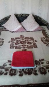 Una cama con una manta roja encima. en Rubchaka Автовокзал Центр Аквапарк неподалік, en Leópolis