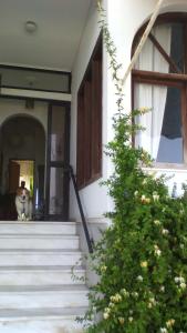 Φωτογραφία από το άλμπουμ του Papas Rooms on the Seafront στους Ωρεούς