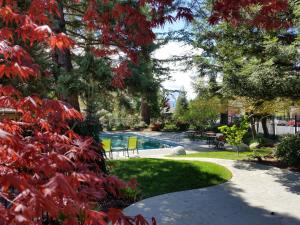 a garden with a swimming pool and red leaves at Redwood Hyperion Suites in Grants Pass