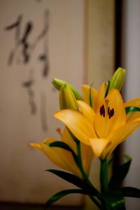 Fotografie z fotogalerie ubytování Kimi Ryokan v Tokiu