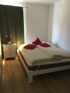 ブラウンラーゲにあるFerienwohnung Harzsonneのベッドルーム1室(赤い枕のベッド1台付)