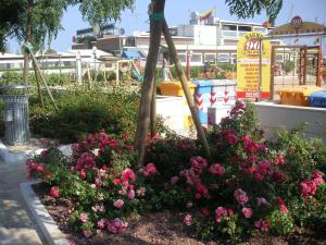 A garden outside Hotel Canasta