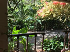 Vườn quanh Martinique Treehouse