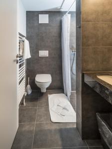 un baño con inodoro y lavabo en Aparthotel Bären, en Seengen 26 fotos más