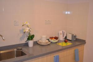 a kitchen counter with a sink and a vase of flowers at TD Mutiara Hotel Semporna in Semporna
