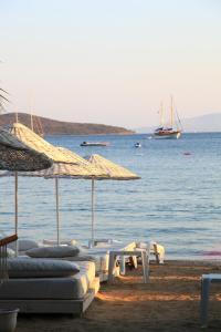 Gallery image of Okaliptus Otel in Bitez