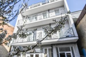 a flowering tree in front of a white building at MariaLuis Hotel in Tbilisi City +127 photos