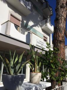 two potted plants sitting in front of a house at Hotel Daniela in Rimini