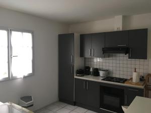 a kitchen with black cabinets and a stove top oven at Appart Cocotiers in La Saline les Bains