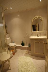 La salle de bains est pourvue de toilettes, d'une douche et d'un lavabo. dans l'établissement B&B Le Rupicapra, à Roubion