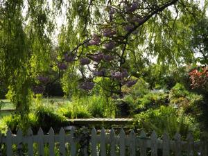 a white fence in front of a garden with purple flowers at Willow Cottage in Bognor Regis +1 photo