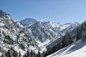 アパートメントの近くで見られる自然の景観