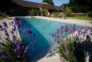 The swimming pool at or near Manoir de la Villeneuve