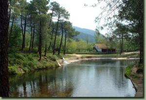 a river with a barn in the middle of a forest at Casa Rural de la Parra in La Adrada