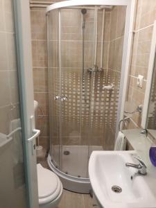 a bathroom with a shower and a toilet and a sink at Casa Papava in Băile Herculane