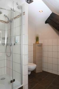 uma casa de banho com um chuveiro e um WC. em Schlossgasthaus Lichtenwalde em Lichtenwalde