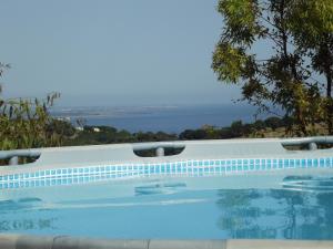a swimming pool with the ocean in the background at Bed & Breakfast La Volpe e L'Uva in Santa Marinella