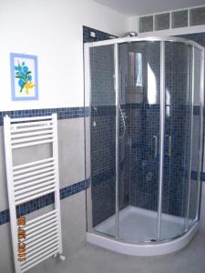 a shower with a glass door in a bathroom at Bed & Breakfast La Volpe e L'Uva in Santa Marinella