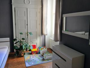 Fotografie z fotogalerie ubytování Apartments Týnská 7 v Praze
