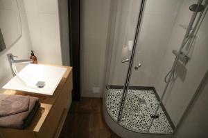La salle de bains est pourvue d'une douche et d'un lavabo. dans l'établissement Atout Carmes, à Toulouse