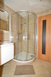een douche met een glazen deur in de badkamer bij Apartman Mozartova in Praag