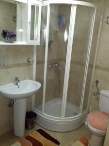 W łazience znajduje się prysznic i umywalka. w obiekcie Aleksandra w mieście Bečići