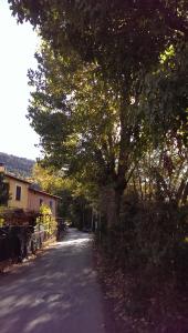 
a street scene with trees and houses at Villa dei Pescatori in LʼAquila
