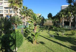 einen Park mit Palmen und Tieren im Gras in der Unterkunft Apartments Carlos V in Benidorm