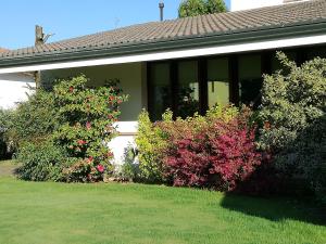 a house with flowering bushes in front of it at 3 Tesori B&B in Castel dʼArio