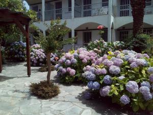 un jardín de flores púrpuras frente a un edificio en Margarita Apartments, en Preveza