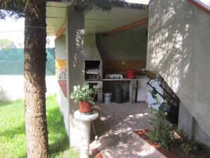 vista esterna di una cucina con palma di Villa Rosa a Case Monterosso