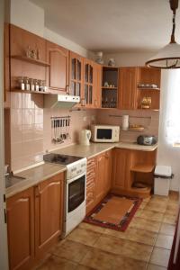 Kuchyň nebo kuchyňský kout v ubytování Holiday Home Liptovský Peter