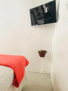 1 dormitorio con TV colgada en la pared en Lagoa da Conceição Apartments, en Florianópolis