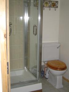 a bathroom with a toilet and a glass shower at Holdstrong Farmhouse in Lydford