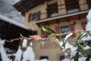 Il Giardino degli Elfi v zimě